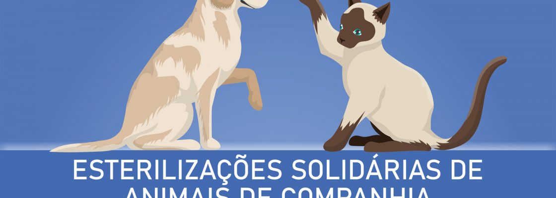 campanha_esterilizacao_caes_gatos_2020