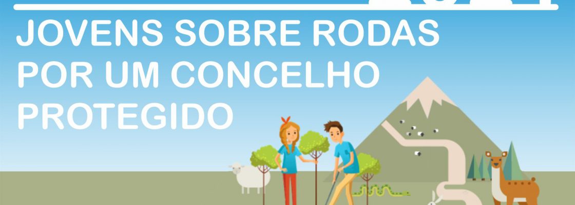 Programa de Voluntariado Jovem para a Natureza e Florestas