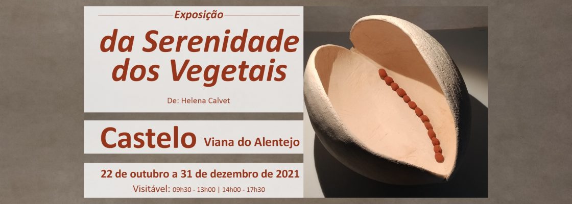 Exposição “da Serenidade dos Vegetais”