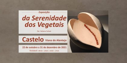 Exposição “da Serenidade dos Vegetais”