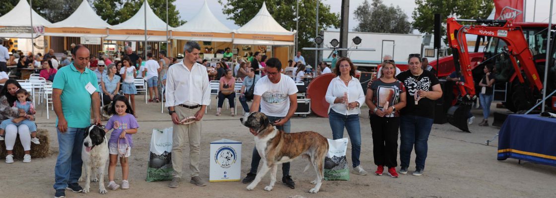 CONCURSO_RAFEIRO_ALENTEJANO