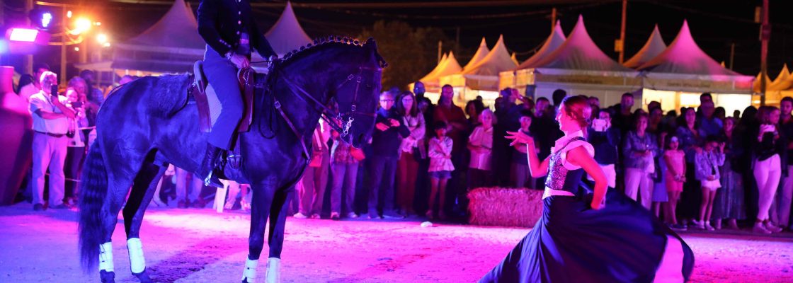 GALA_EQUESTRE