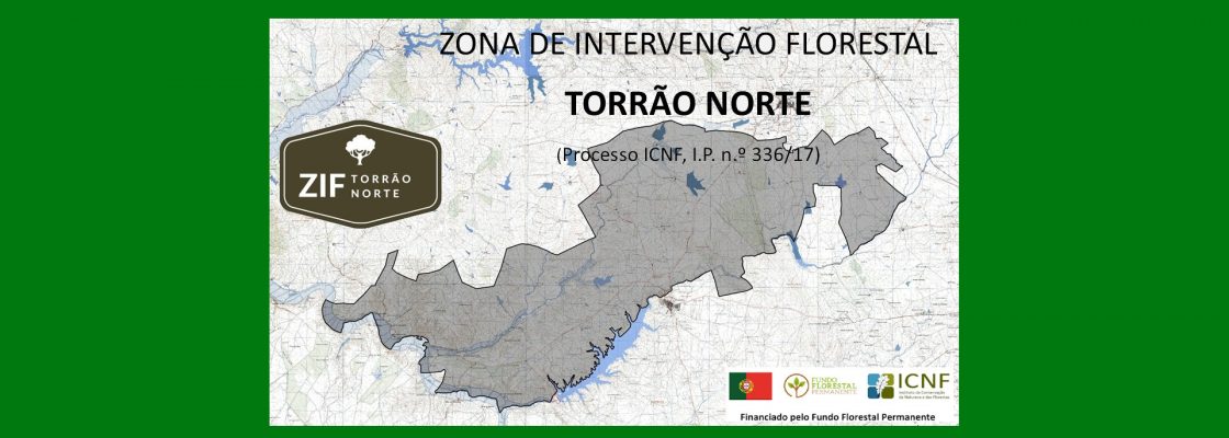Processo para a aprovação do Plano de Gestão Florestal, da Zona de Intervenção Torrão Norte...