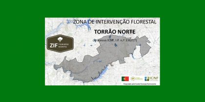 Processo para a aprovação do Plano de Gestão Florestal, da Zona de Intervenção Torrão Norte. – Reuniões e Consulta Pública – ZIF Torrão Norte”