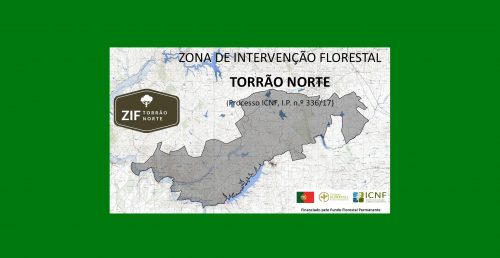 Informação – GTF – Assembleia Geral da ZIF Torrão Norte