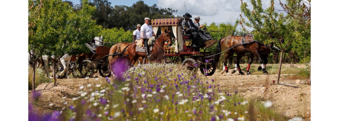 “Romaria a Cavalo – Atenção, inscrições online com prazo alargado