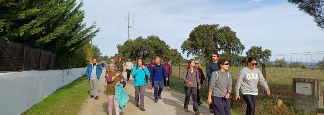 WhatsApp Image 2025-11-10 at 09.26.03