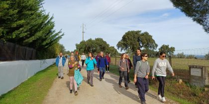 40 participantes no Alentejo Walking Festival em Alcáçovas