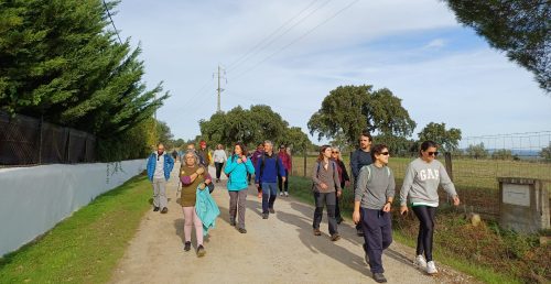 40 participantes no Alentejo Walking Festival em Alcáçovas