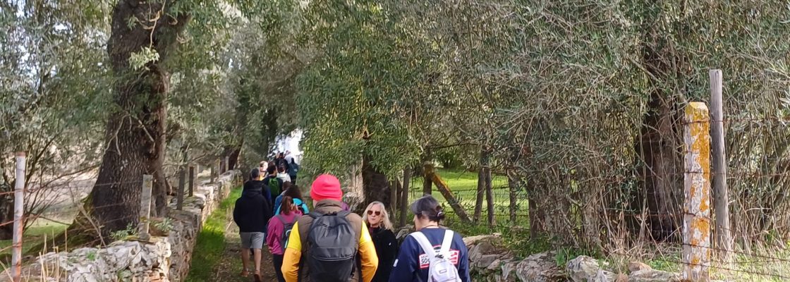 WhatsApp Image 2025-11-10 at 09.26.04