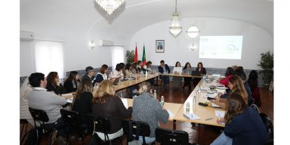 Conselho Local de Ação Social de Viana aprova constituição do Núcleo Local de Garantia para a Infância