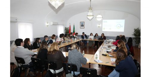 Conselho Local de Ação Social de Viana aprova constituição do Núcleo Local de Garantia para a Infância