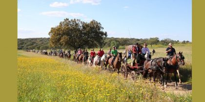 Romaria a Cavalo Moita » Viana do Alentejo está de regresso ao Santuário