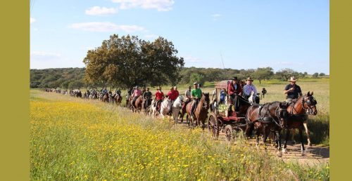 Romaria a Cavalo Moita » Viana do Alentejo está de regresso ao Santuário