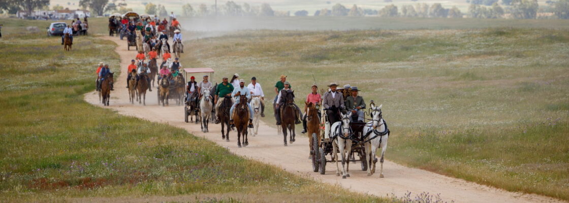 681204489_1429903412505283_6431406219282866502_n