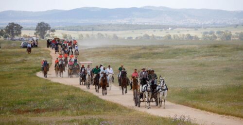 Fé e convívio marcam 24ª edição da Romaria a Cavalo